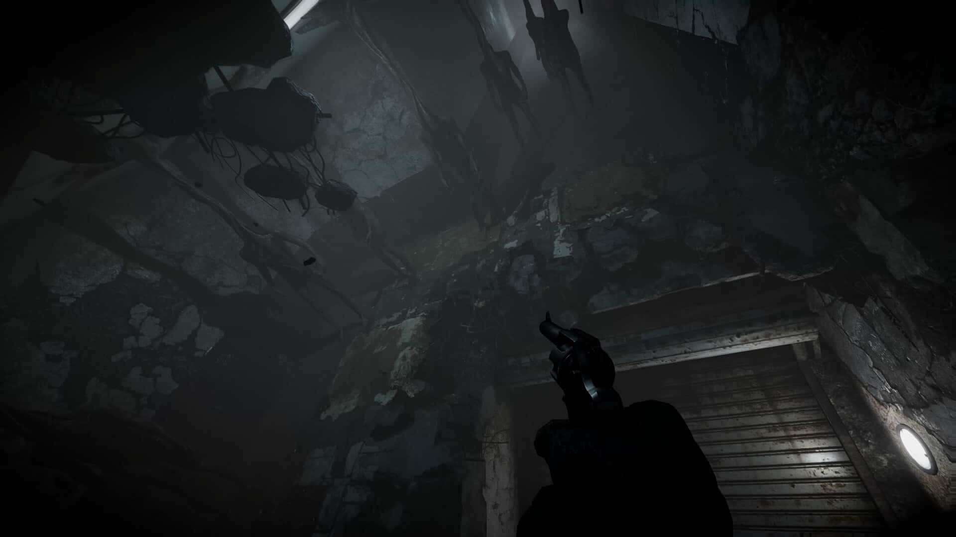 全面失控 Total Chaos 中文版背景